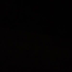 Meet your Posher, Harrison